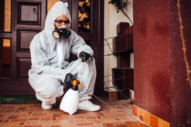 Reliable Wasp Removal contractor in Norfolk, VA by Show Me Pest Control